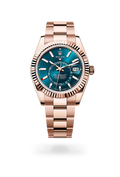 Rolex Sky-Dweller (Reference 336935)