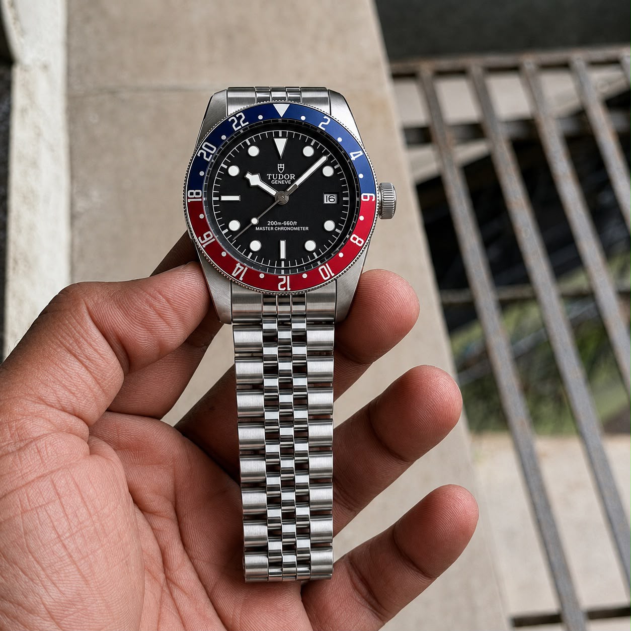 Tudor Black-bay - ZypherPremium