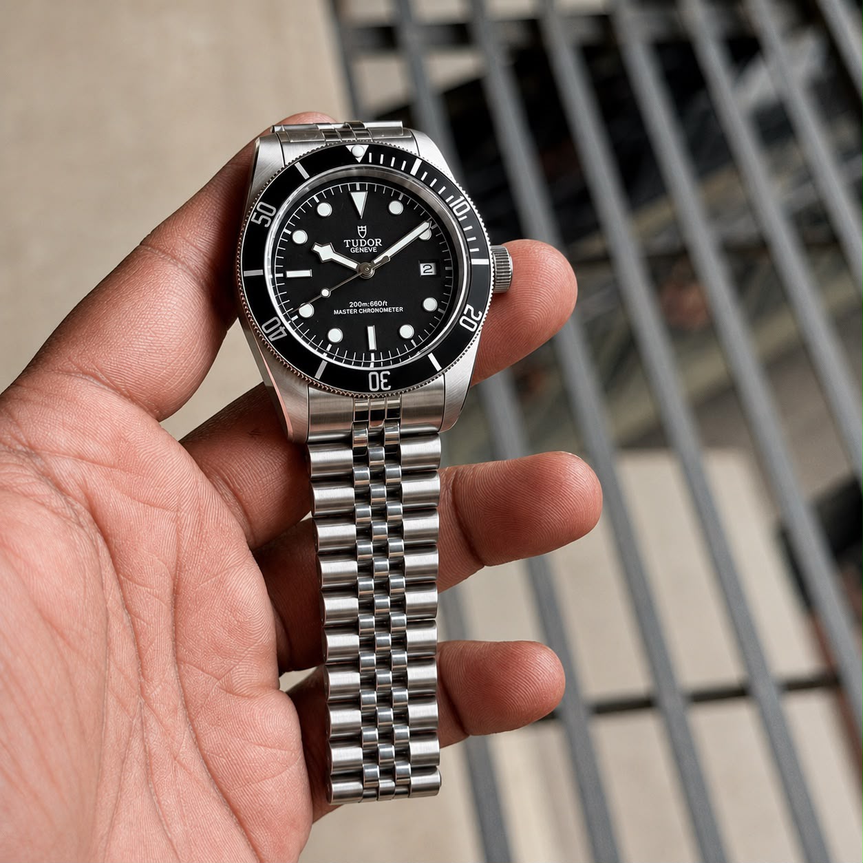 Tudor Black-bay Black - ZypherPremium